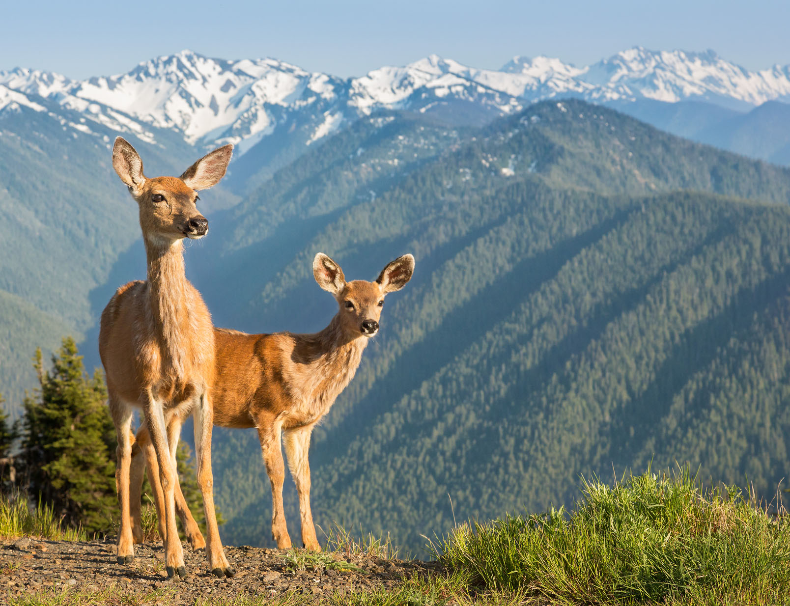 Washington Ken CanningGetty Images THE PACIFIC NORTHWEST HIGHLIGHTS - photo 4