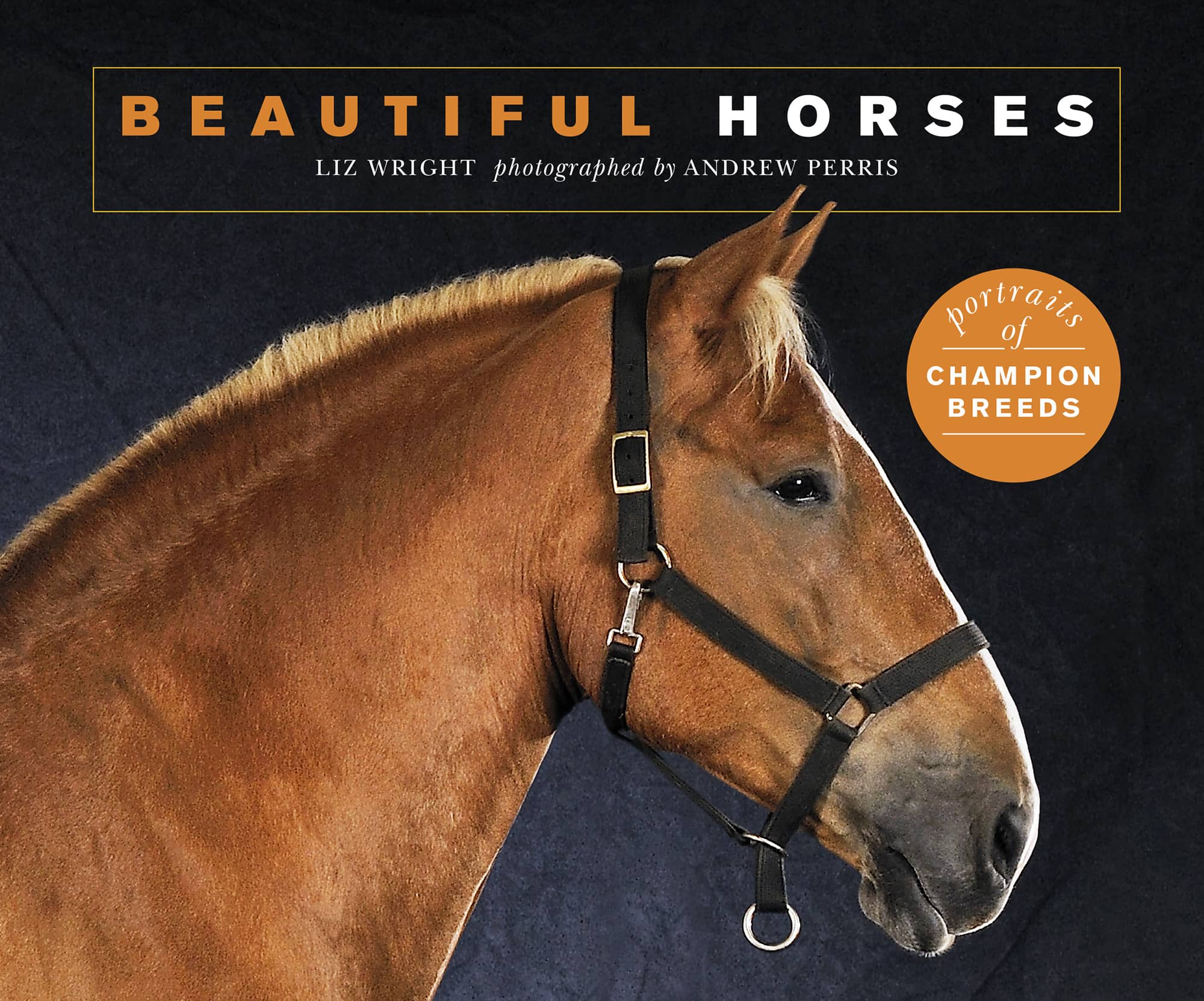 BEAUTIFUL HORSES portraits of CHAMPION BREEDS LIZ WRIGHT photographed by - photo 1