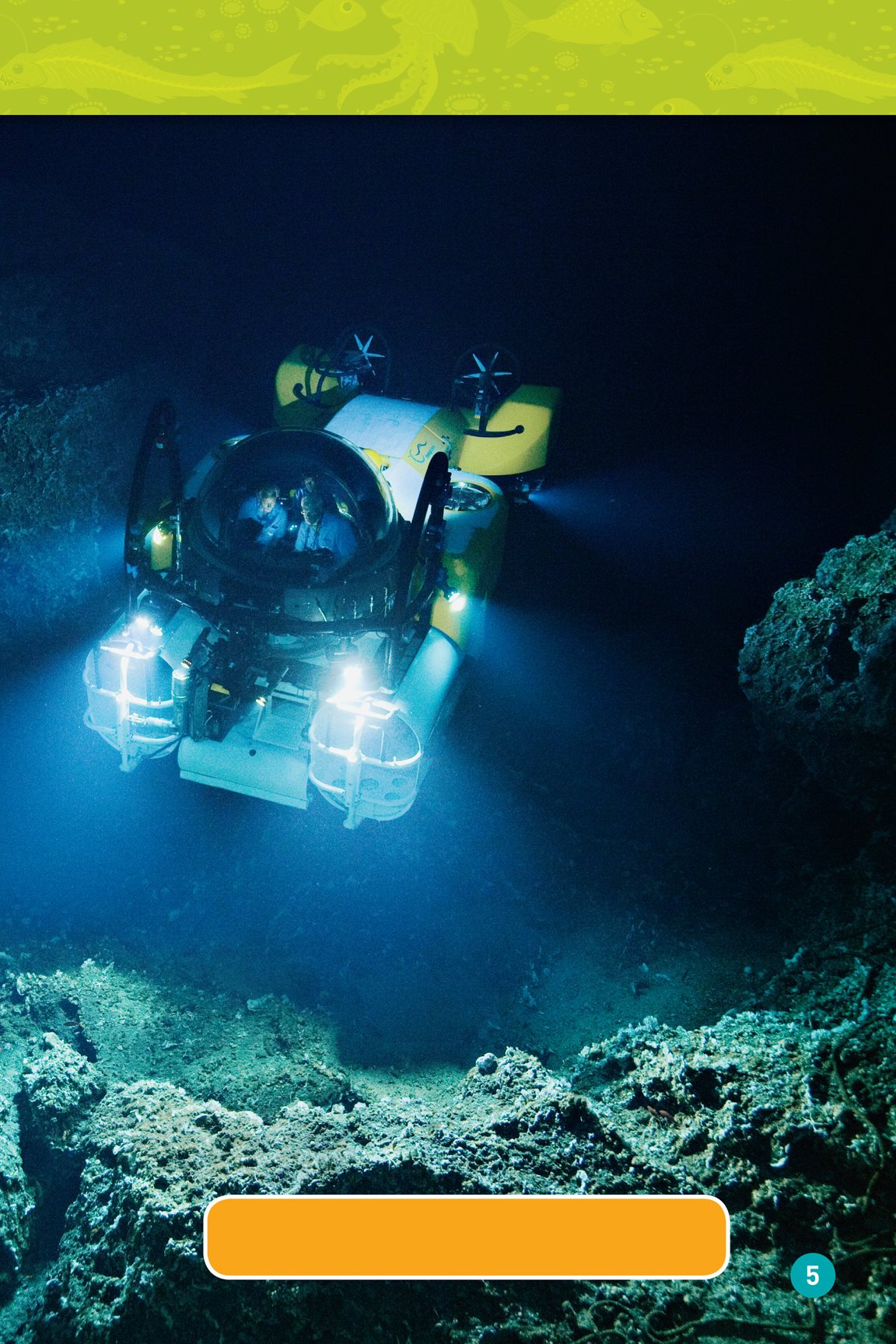 This submersible called DeepSee explores the ocean floor near Cocos Island - photo 7