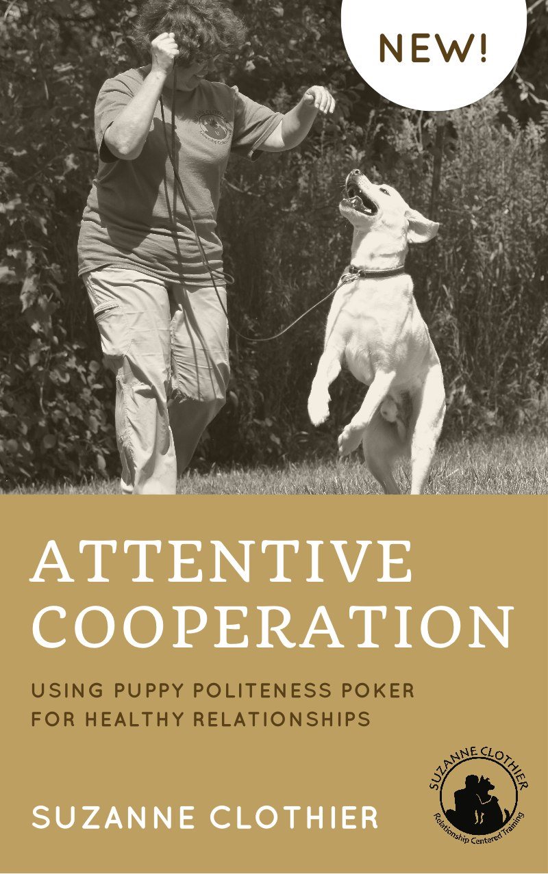 Attentive Cooperation Using Puppy Politeness Poker for Healthy Relationships - photo 1