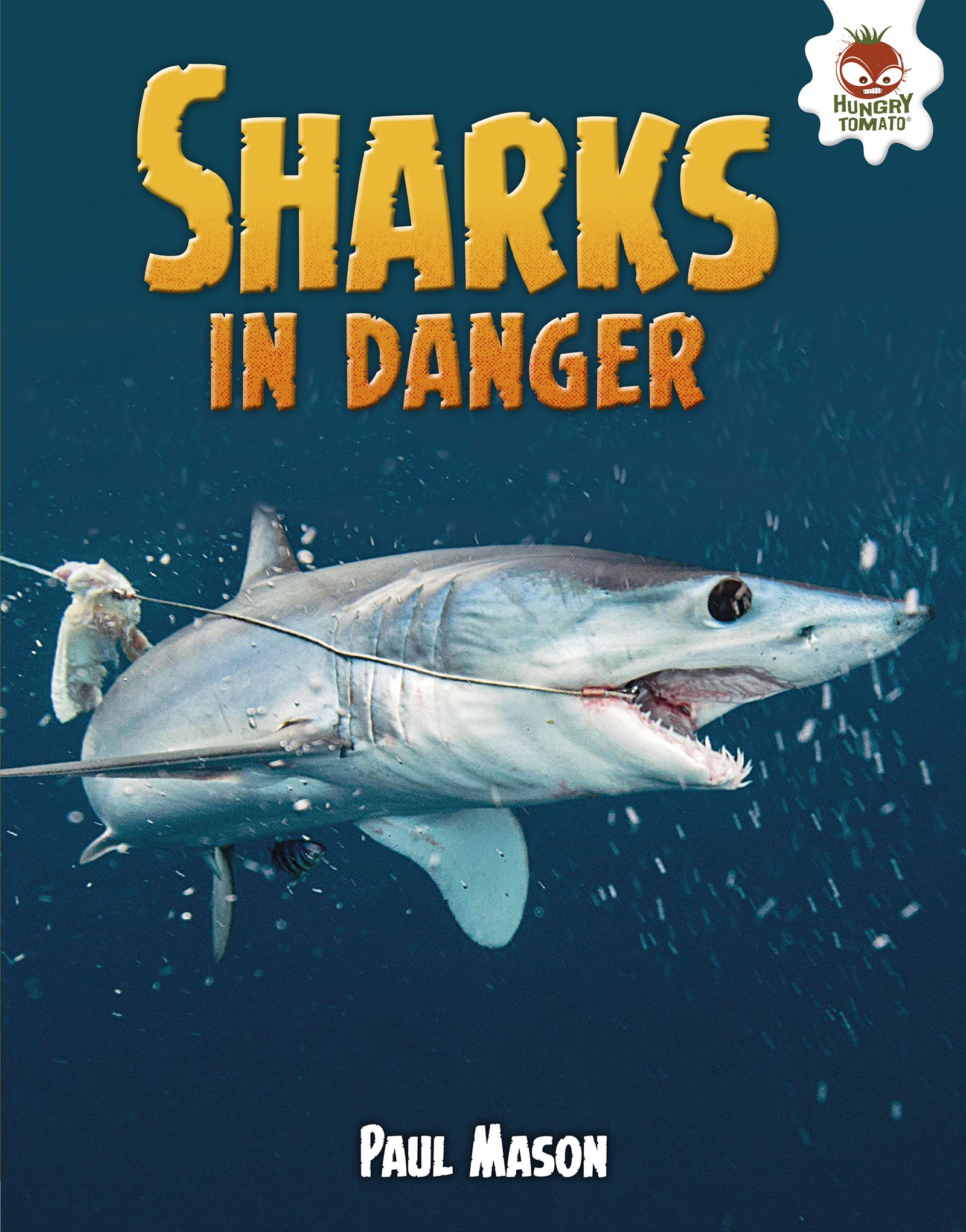 Sharks in Danger - photo 1