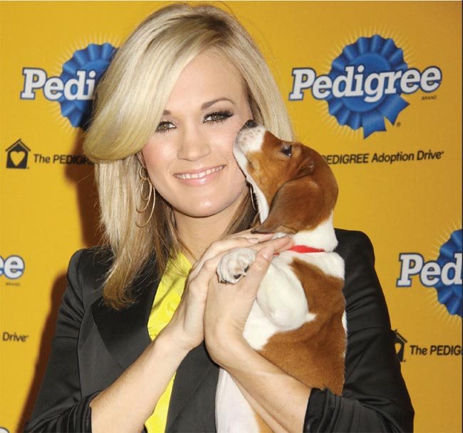 CARRIE ATTENDS THE 6TH ANNUAL PEDIGREE ADOPTION DRIVE Carrie supports - photo 16