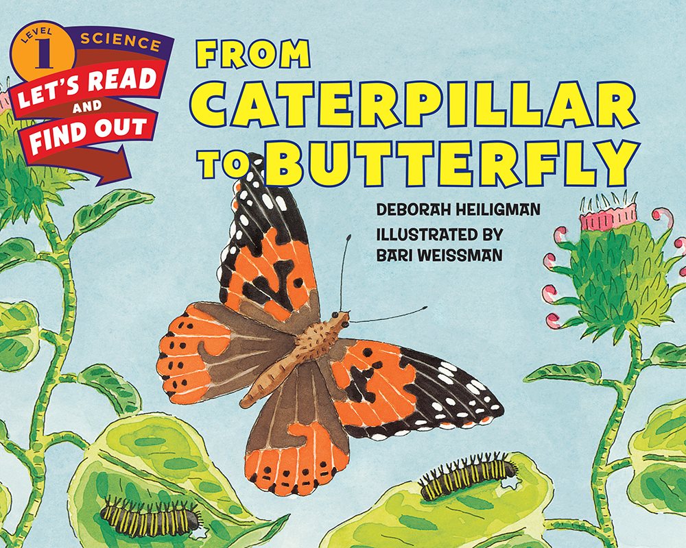 From Caterpillar to Butterfly - photo 1