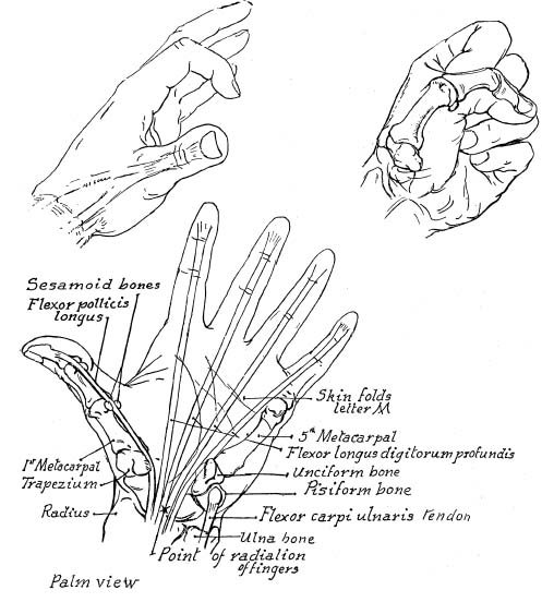 Drawing Hands With Over 1000 Illustrations - photo 1