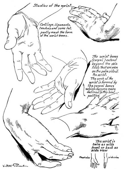 Drawing Hands With Over 1000 Illustrations - photo 12