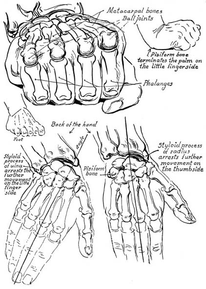 Drawing Hands With Over 1000 Illustrations - photo 15