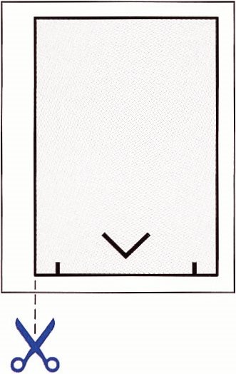 You will need a pair of scissors to cut out each plane from a photocopy of the - photo 3