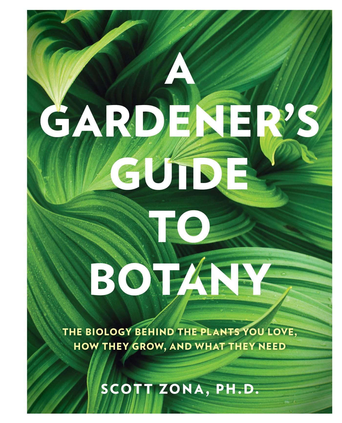 A GARDENERS GUIDE TO BOTANY THE BIOLOGY BEHIND THE PLANTS YOU LOVE HOW - photo 1