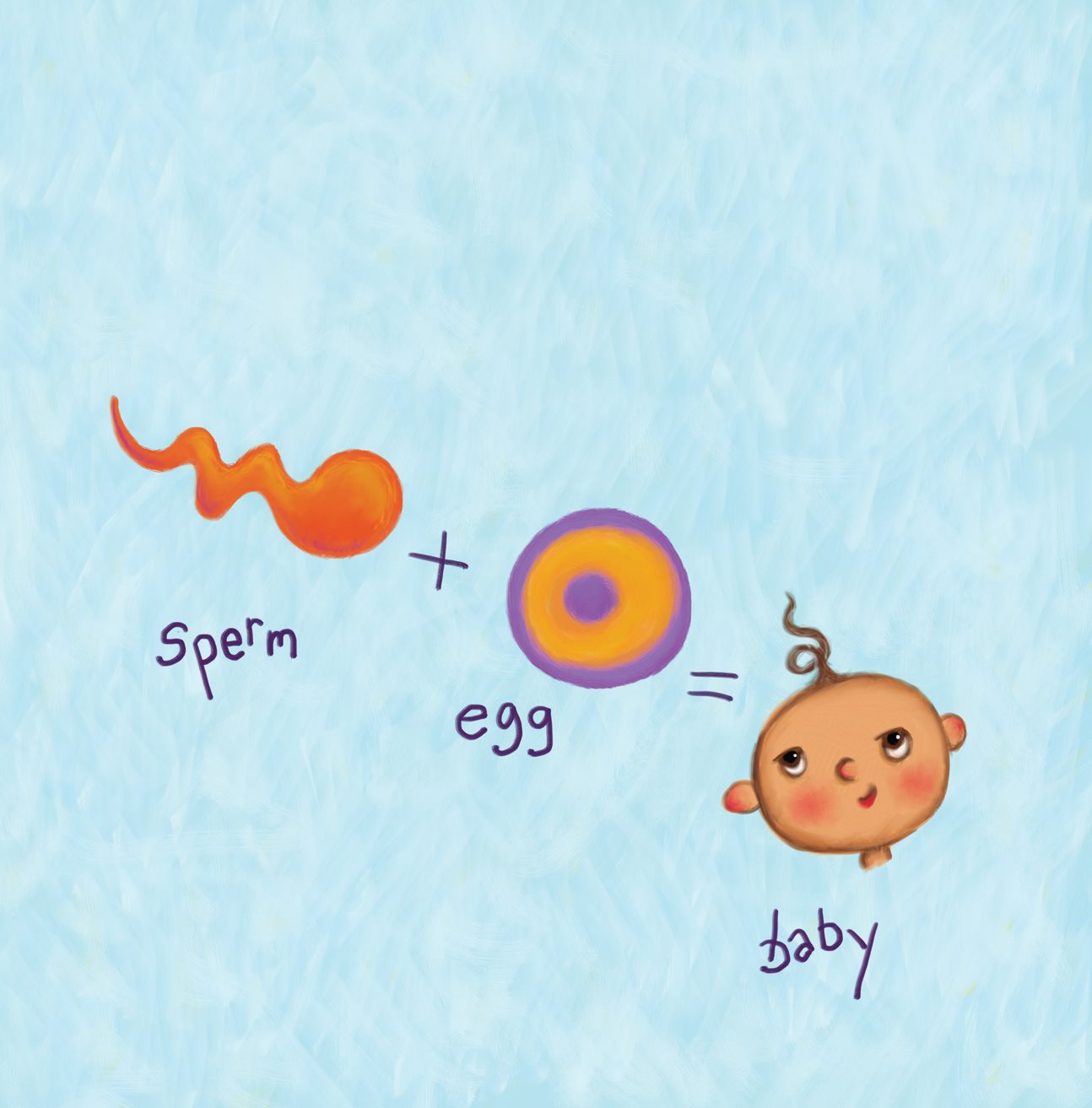 T w o ingr edients ar e ne eded to mak e a baby A sperm and an egg When the - photo 16