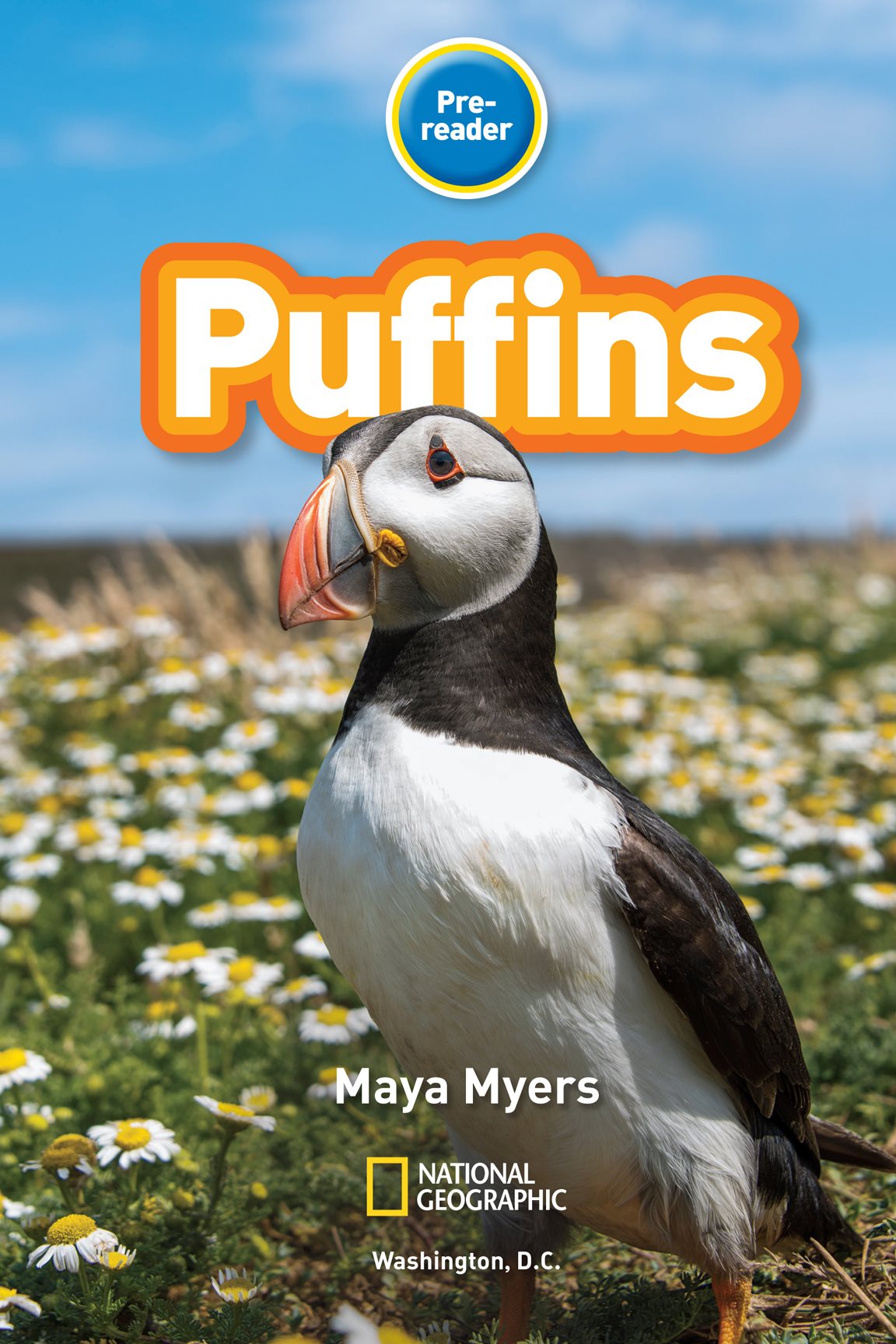 Vocabulary Tree ANIMALS PUFFINS ABOUT THEIR HOME ocean cold nest - photo 3