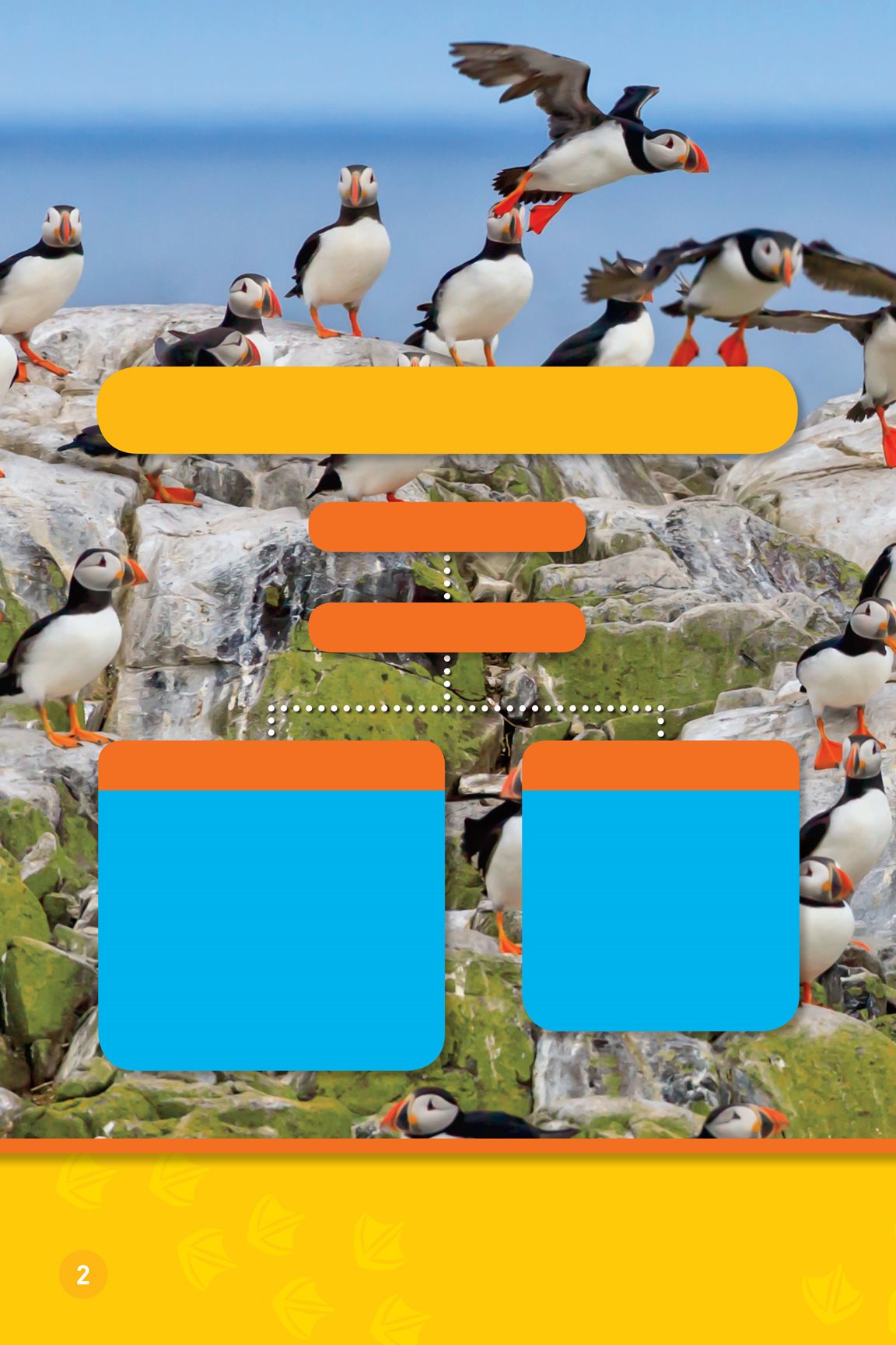 Vocabulary Tree ANIMALS PUFFINS ABOUT THEIR HOME ocean cold nest - photo 4