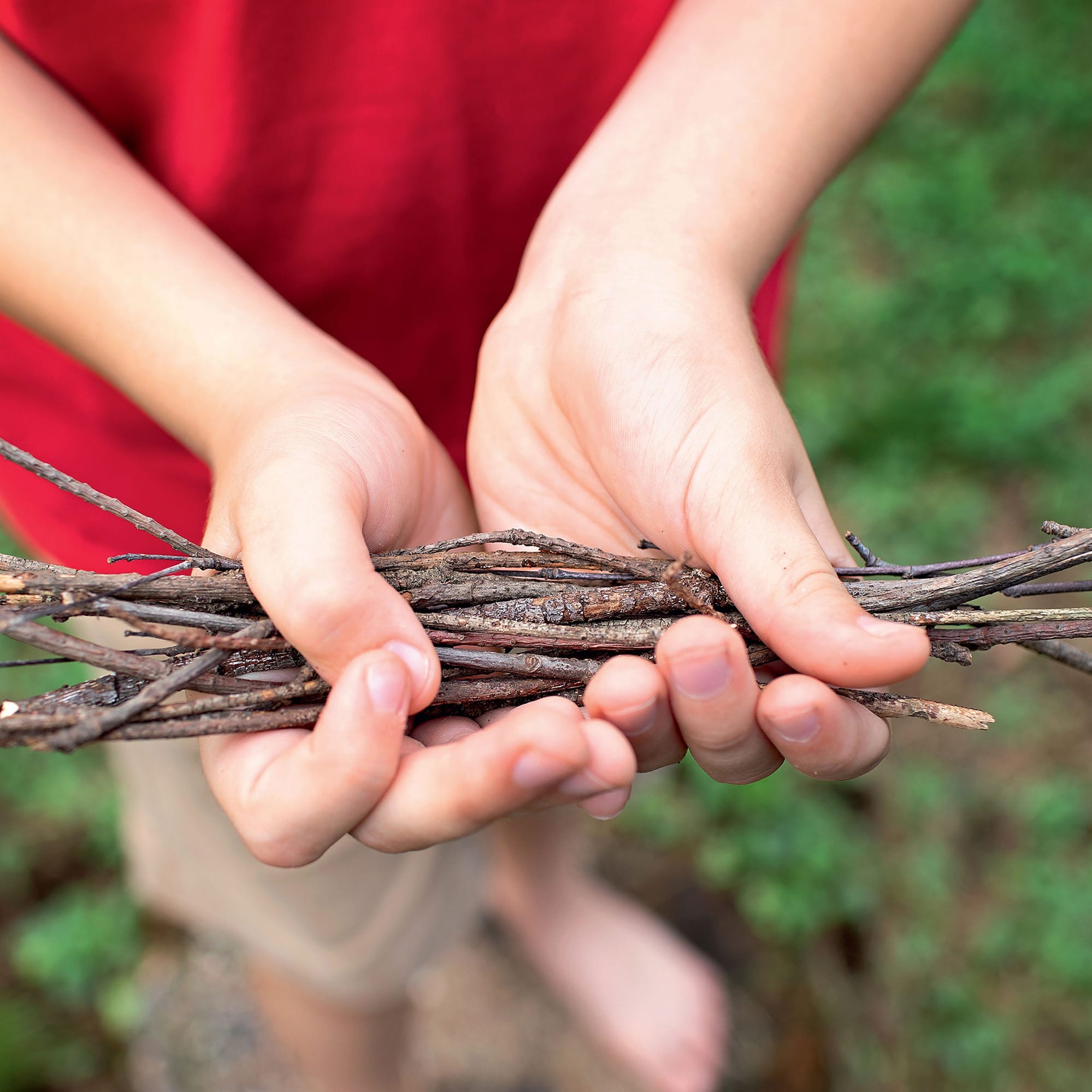 Sticks AND Stones A KIDS GUIDE TO BUILDING AND EXPLORING IN THE GREAT OUTDOORS - photo 2