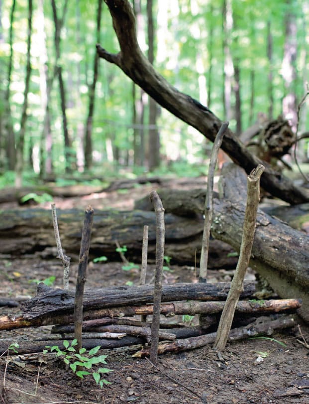 Sticks and Stones A Kids Guide to Building and Exploring in the Great Outdoors - image 8