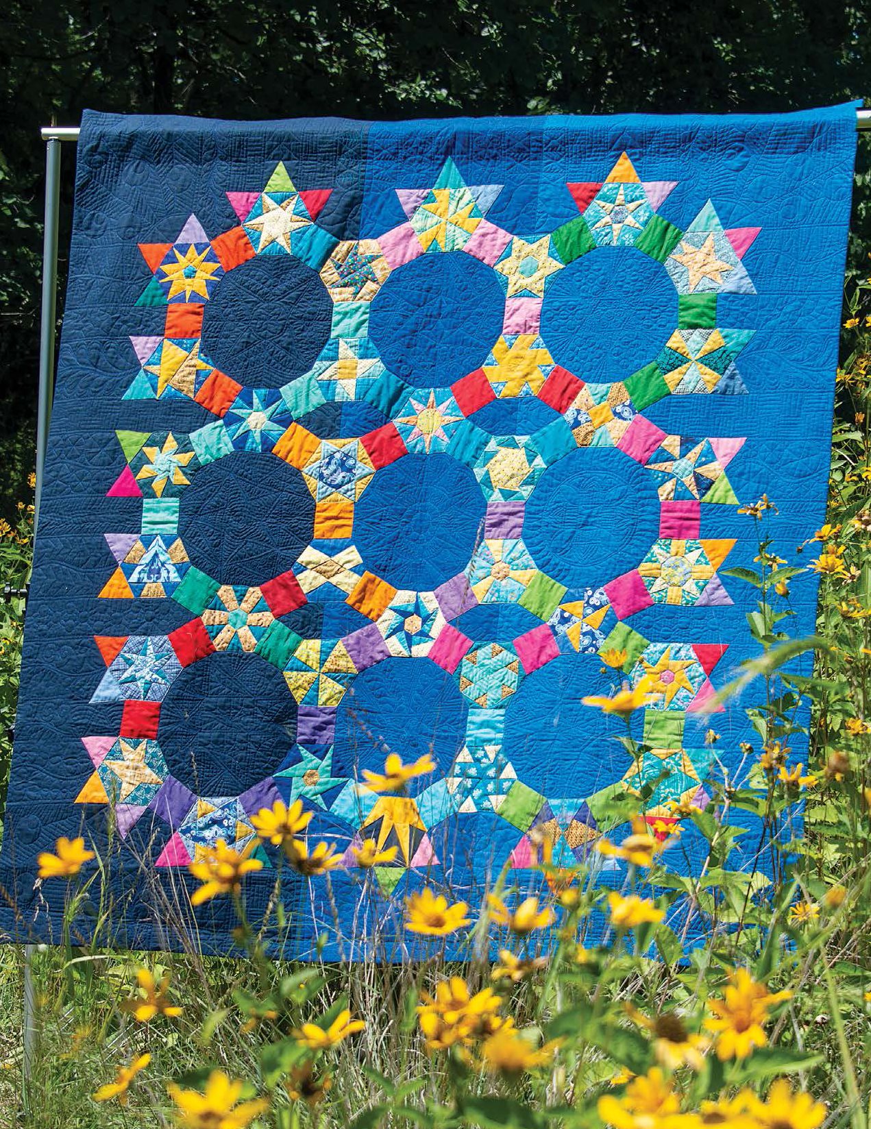 The colorful star network on the Star Chart quilt see was appliqudHEXAGON - photo 4