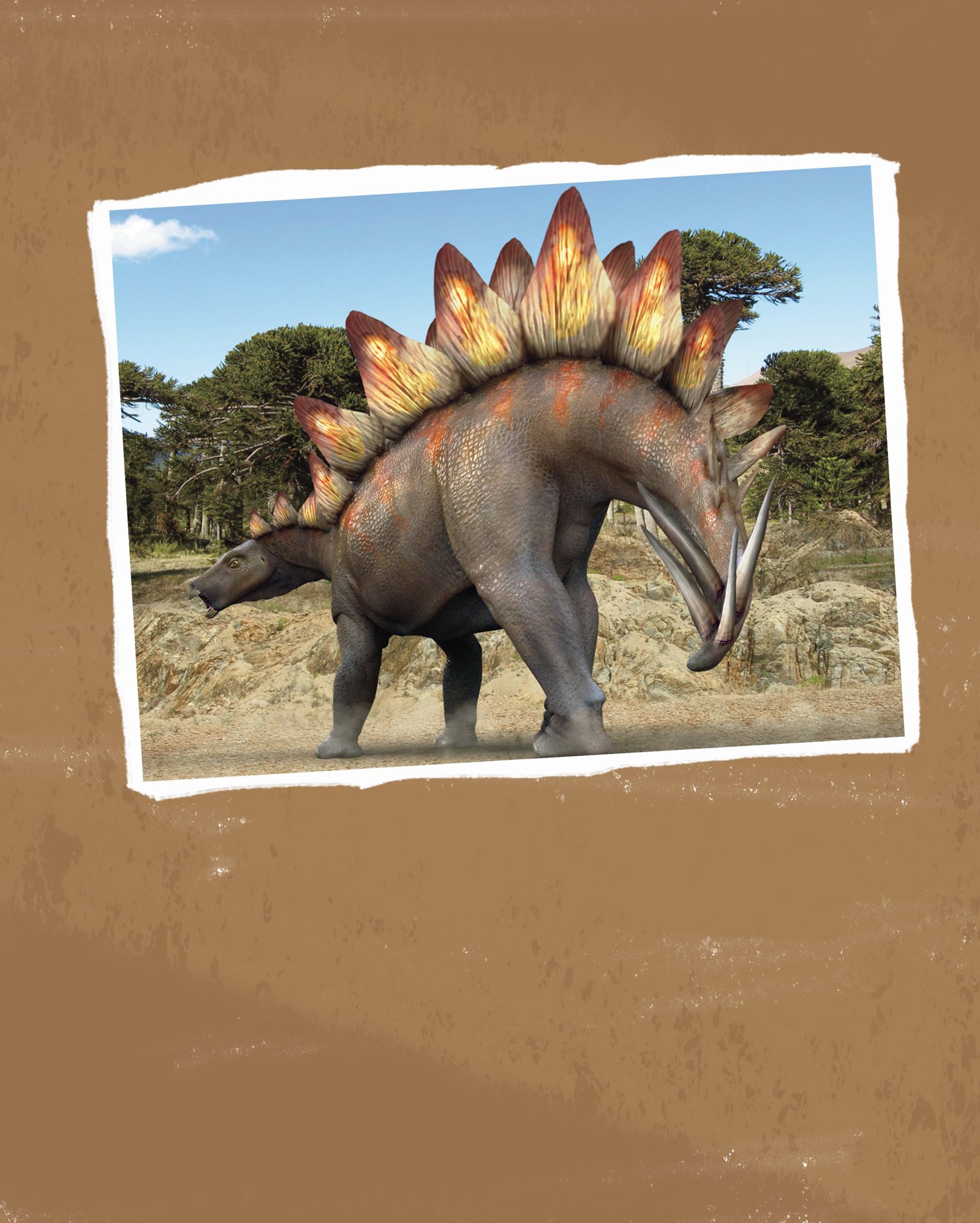 More Stegosaurus Facts The name s t e g o s a u r u s means roofed or covered - photo 24