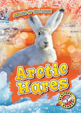 Rebecca Pettiford - Arctic Hares