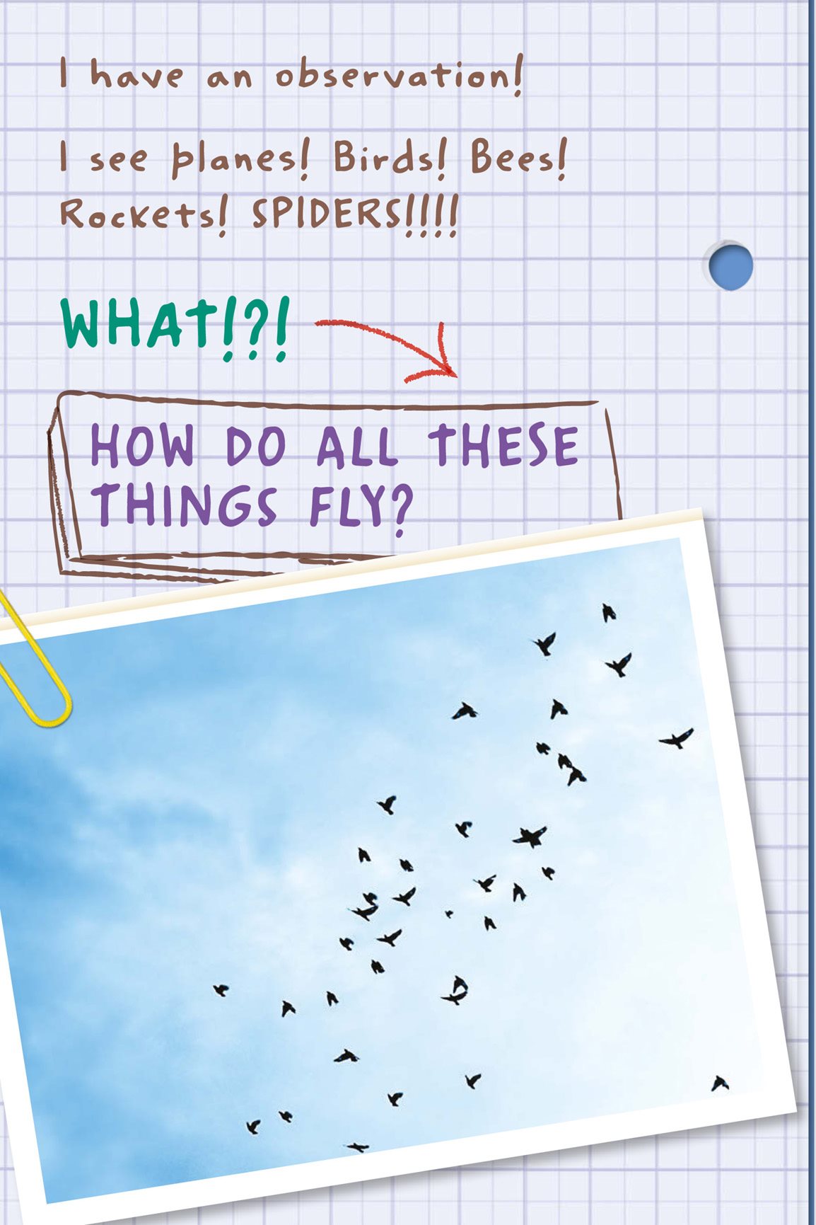 I have an observation I see planes Birds Bees Rockets SPIDERS WHAT - photo 8