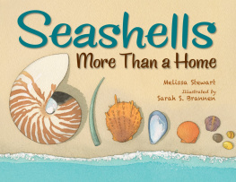 Melissa Stewart - Seashells