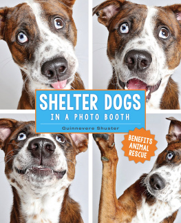 Guinnevere Shuster - Shelter Dogs in a Photo Booth