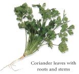 Coriander also known as cilantro or Chinese parsley is the most common herb - photo 8