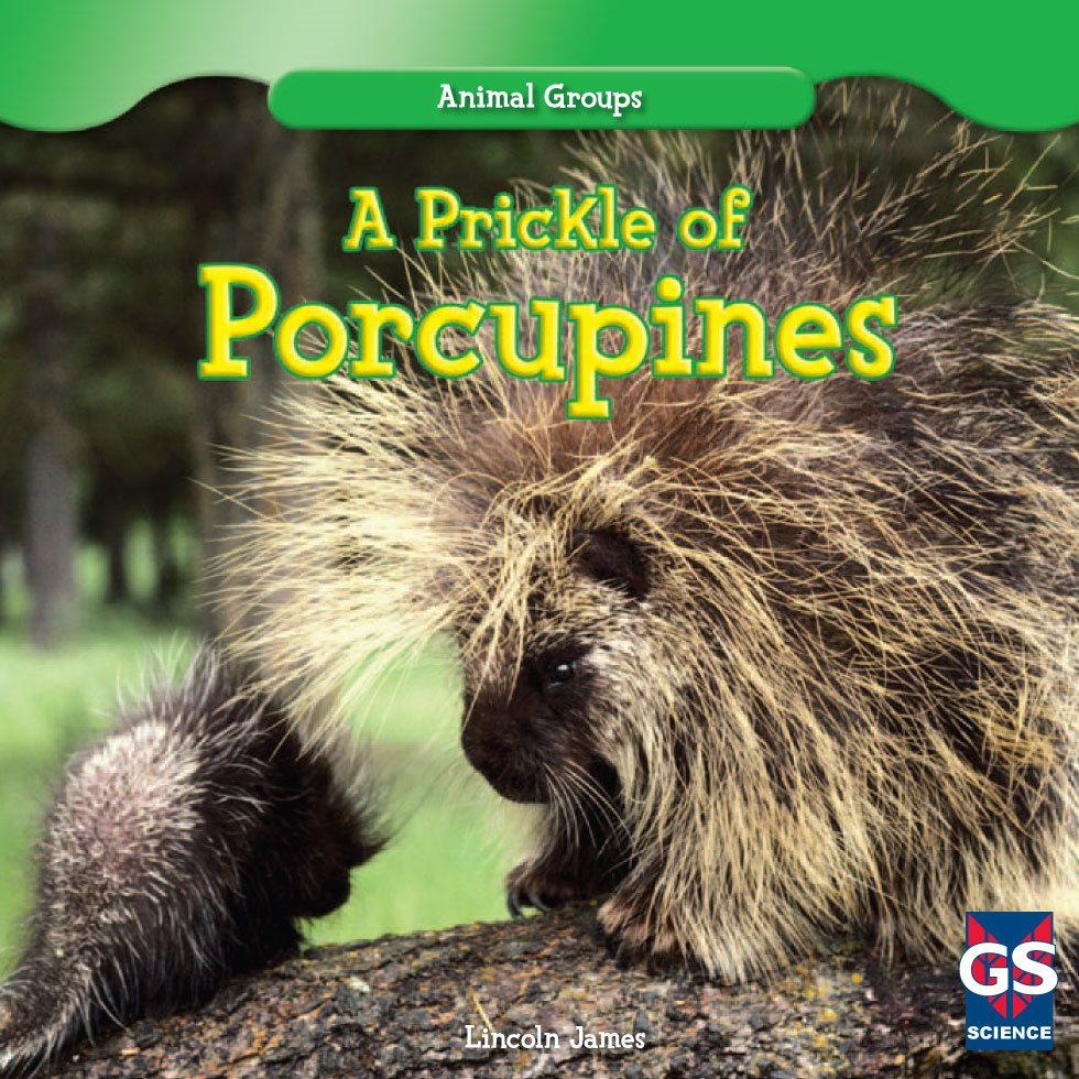 Animal Groups A Prickle of Porcupines Lincoln James SCIENCE - photo 1
