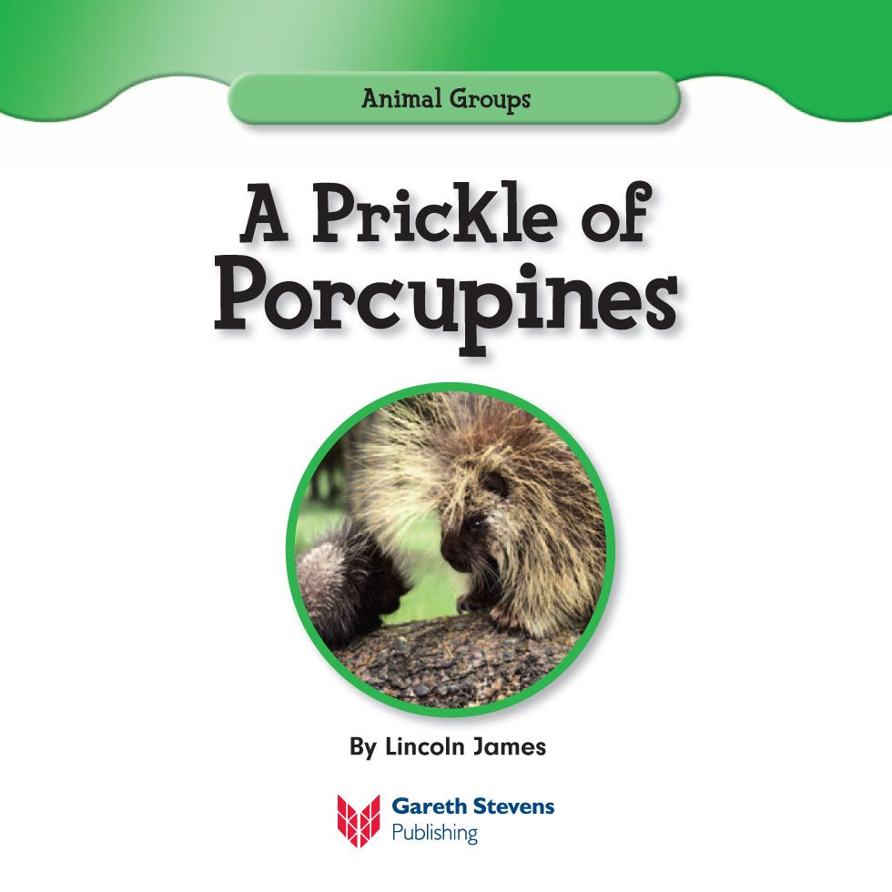 Animal Groups A Prickle of Porcupines By Lincoln James Please - photo 3