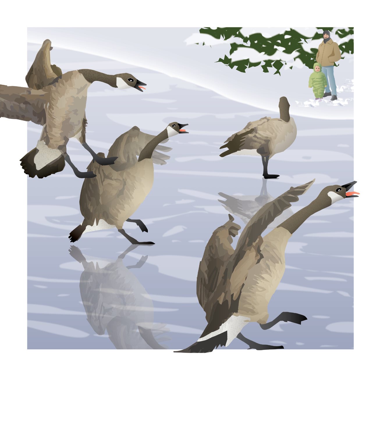 Do you see a gaggle of curious young goslings learning to land on firm ice - photo 19