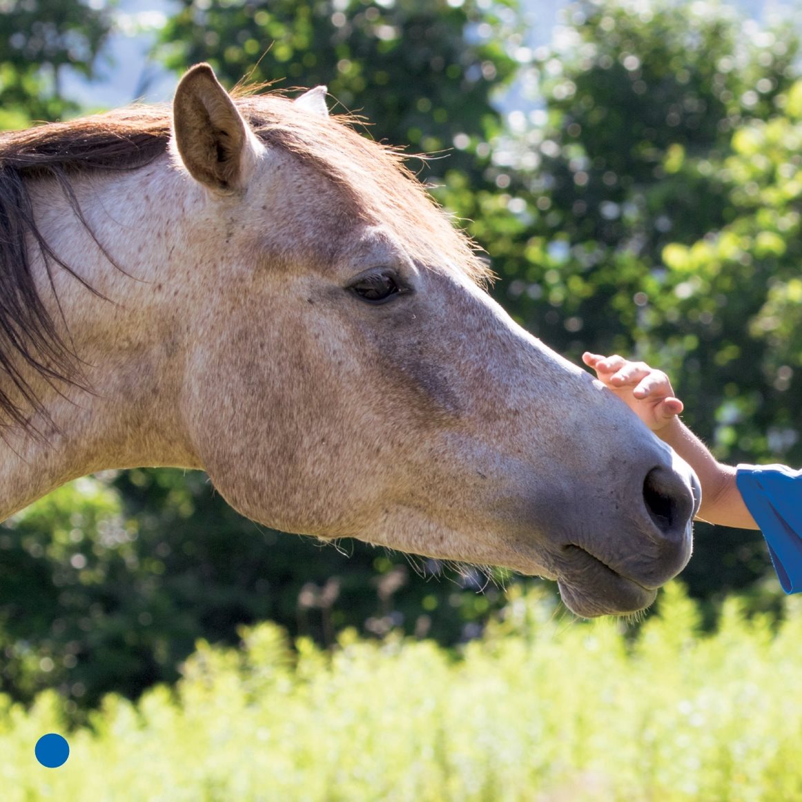 A horse needs love Jay talks to Tink He pats her on the nose He - photo 18