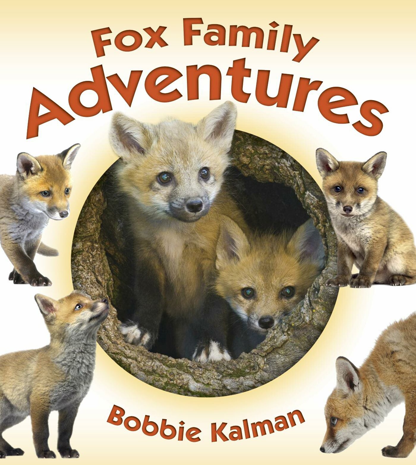 Crabtree Publishing Company wwwcrabtreebookscom Fox Family Adventures Bo - photo 1