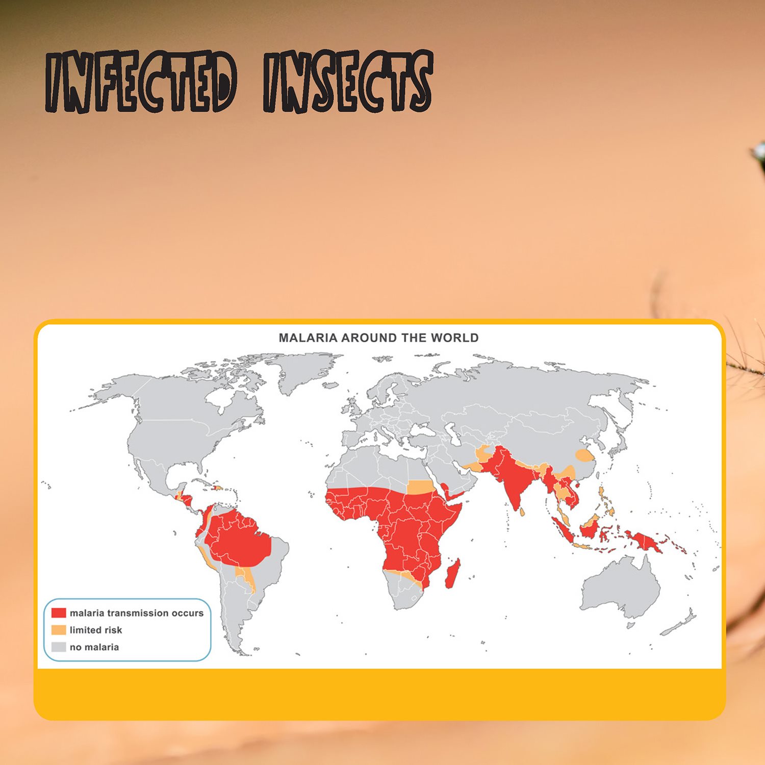 INFECTED INSECTS Mosquitoes carry a number of serious diseases They - photo 18