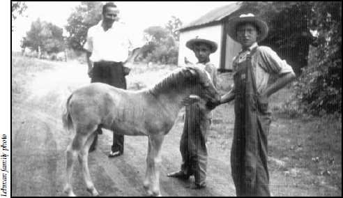 Elton middle and brother Merlin right with their pony on the Sylvester and - photo 3