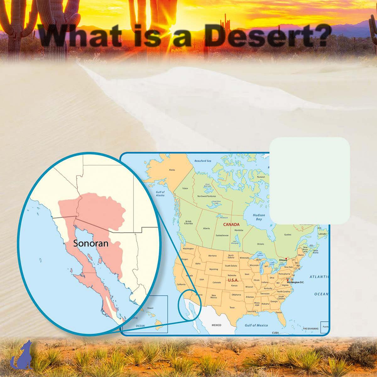 What is a Desert Deserts are dry areas with very little rainfall Deserts - photo 6