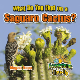 Megan Kopp - What Do You Find on a Saguaro Cactus?