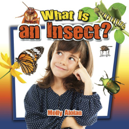 Molly Aloian - What Is an Insect?