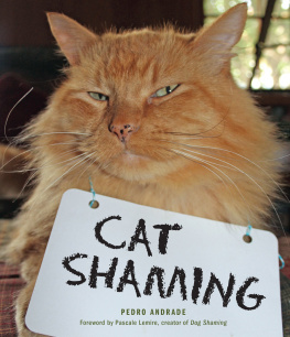 Pedro Andrade Cat Shaming