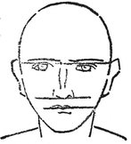 When the head is turned or tilted the main axis that is drawn down the face - photo 2