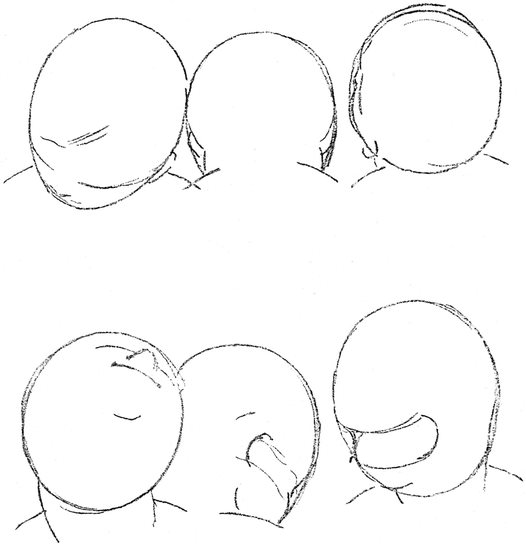 How to Draw the Head in Light and Shade - photo 7