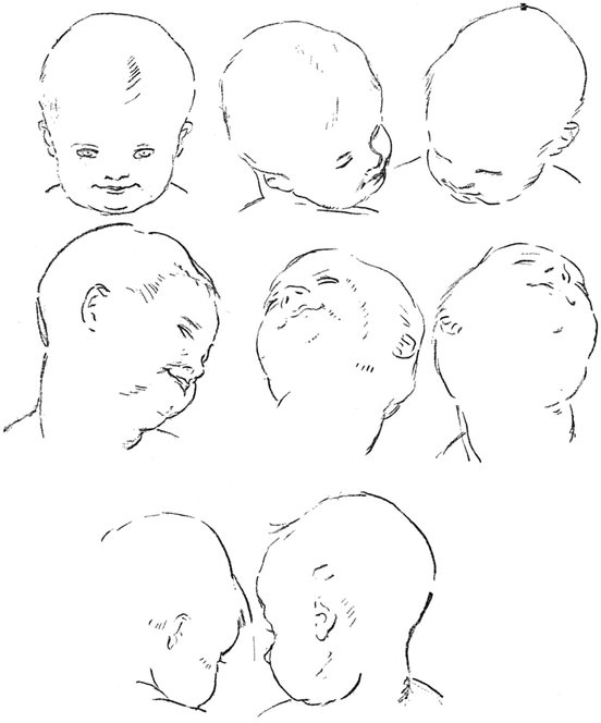 How to Draw the Head in Light and Shade - photo 8