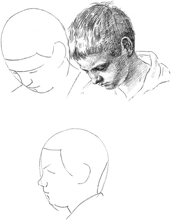 How to Draw the Head in Light and Shade - photo 16