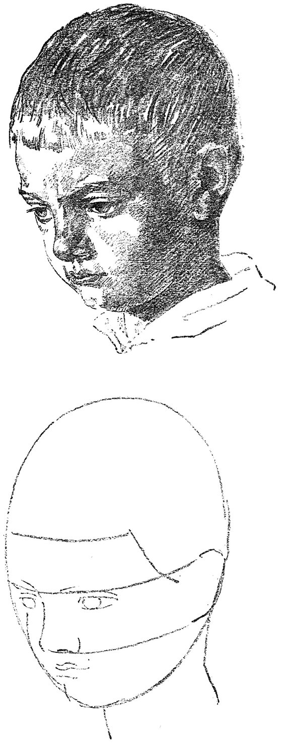 How to Draw the Head in Light and Shade - photo 18