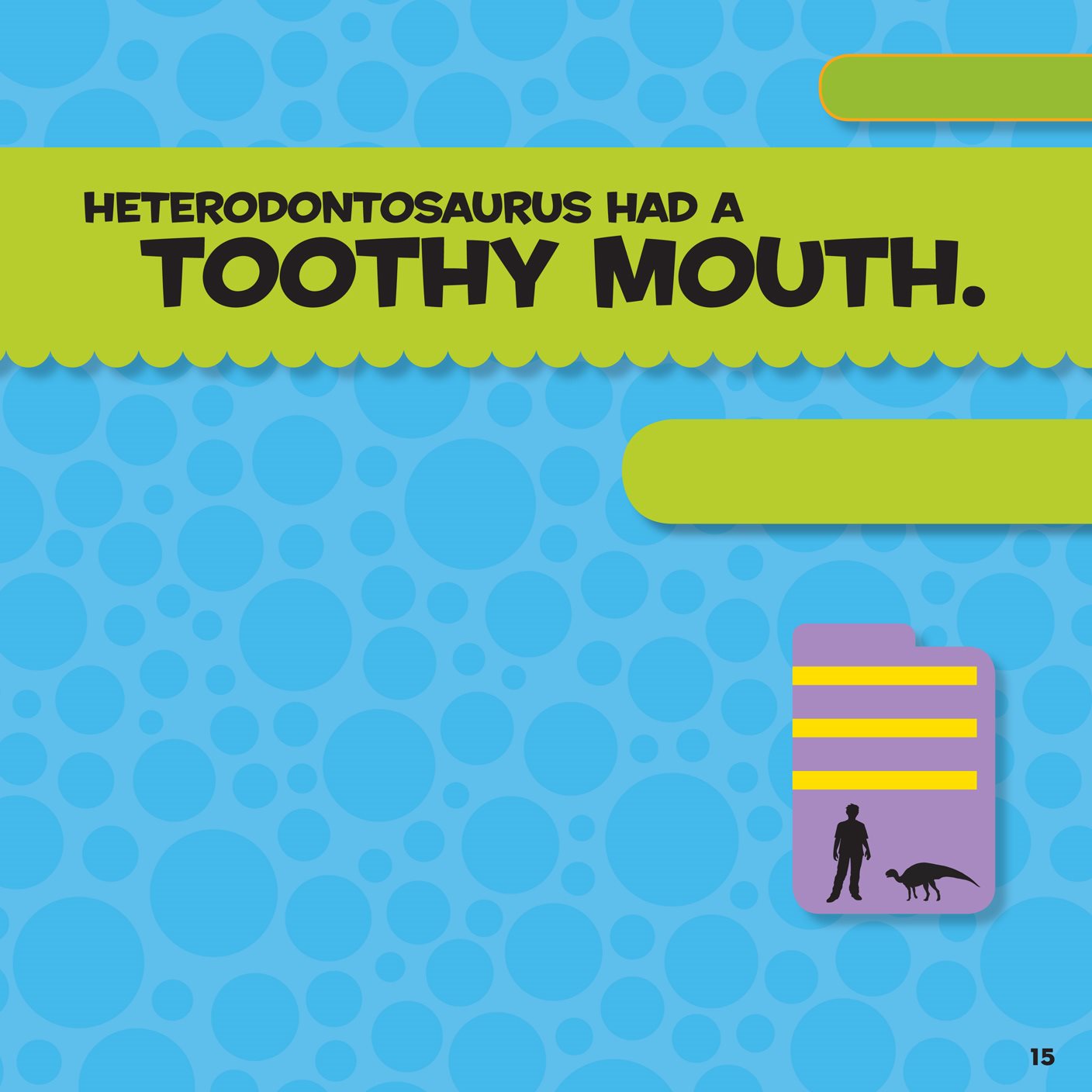 SMALL Heterodontosaurus had three different kinds of teeth The teeth in - photo 16