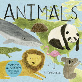 Katie Wilson - Animals