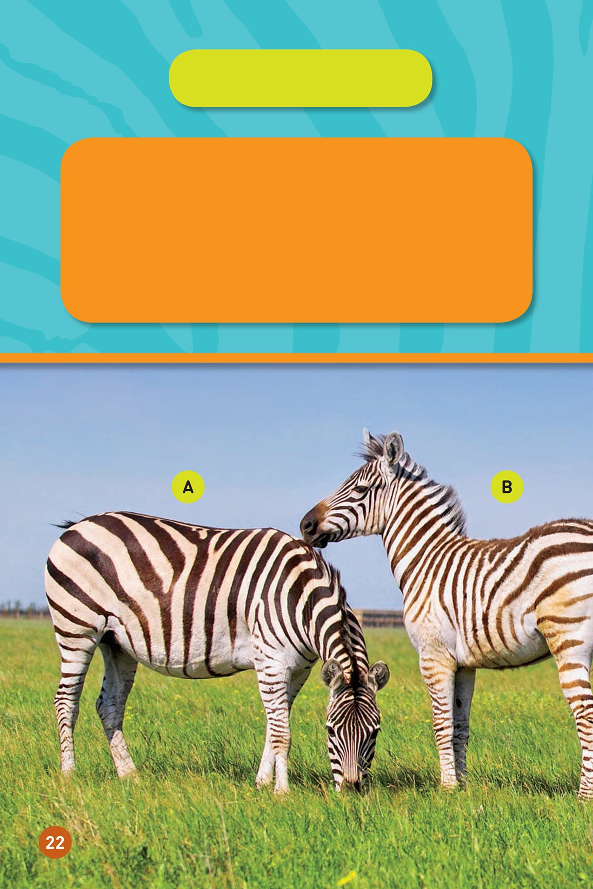 YOUR TURN Zebras might look the same but their stripes are different A - photo 24