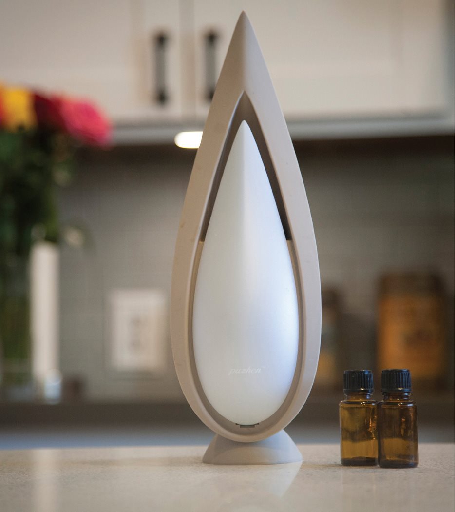 Types of Diffusers T here are two main types of essential oil diffusers - photo 8