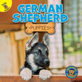 Hailey Scragg - German Shepherd Puppies
