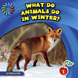 Rebecca Felix - What Do Animals Do in Winter?