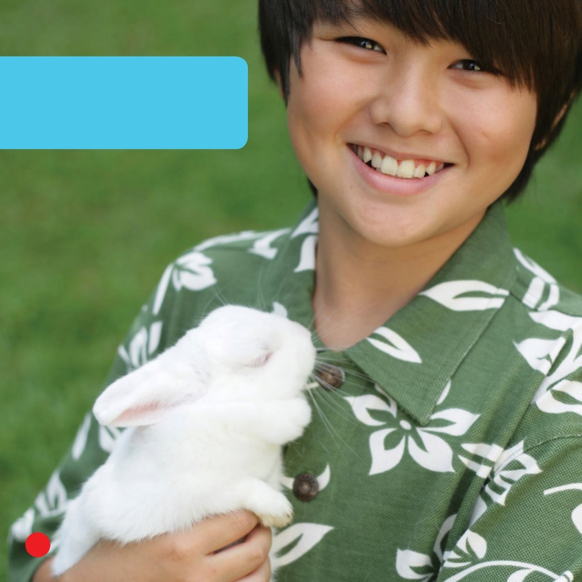 Li picks a white bunny It has short hair hutch - photo 8