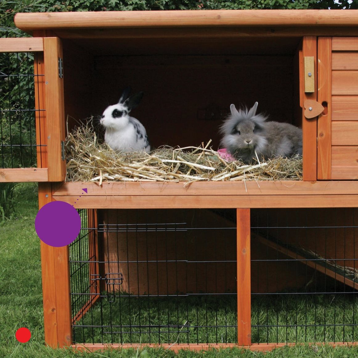 hutch What do rabbits need Katy makes a hutch for Fluffy It is big - photo 10