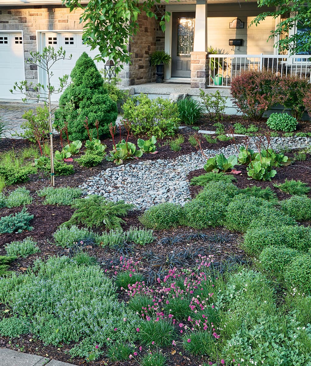 Credit Donna Griffith Gardening the front yard is not a fringe concept - photo 5