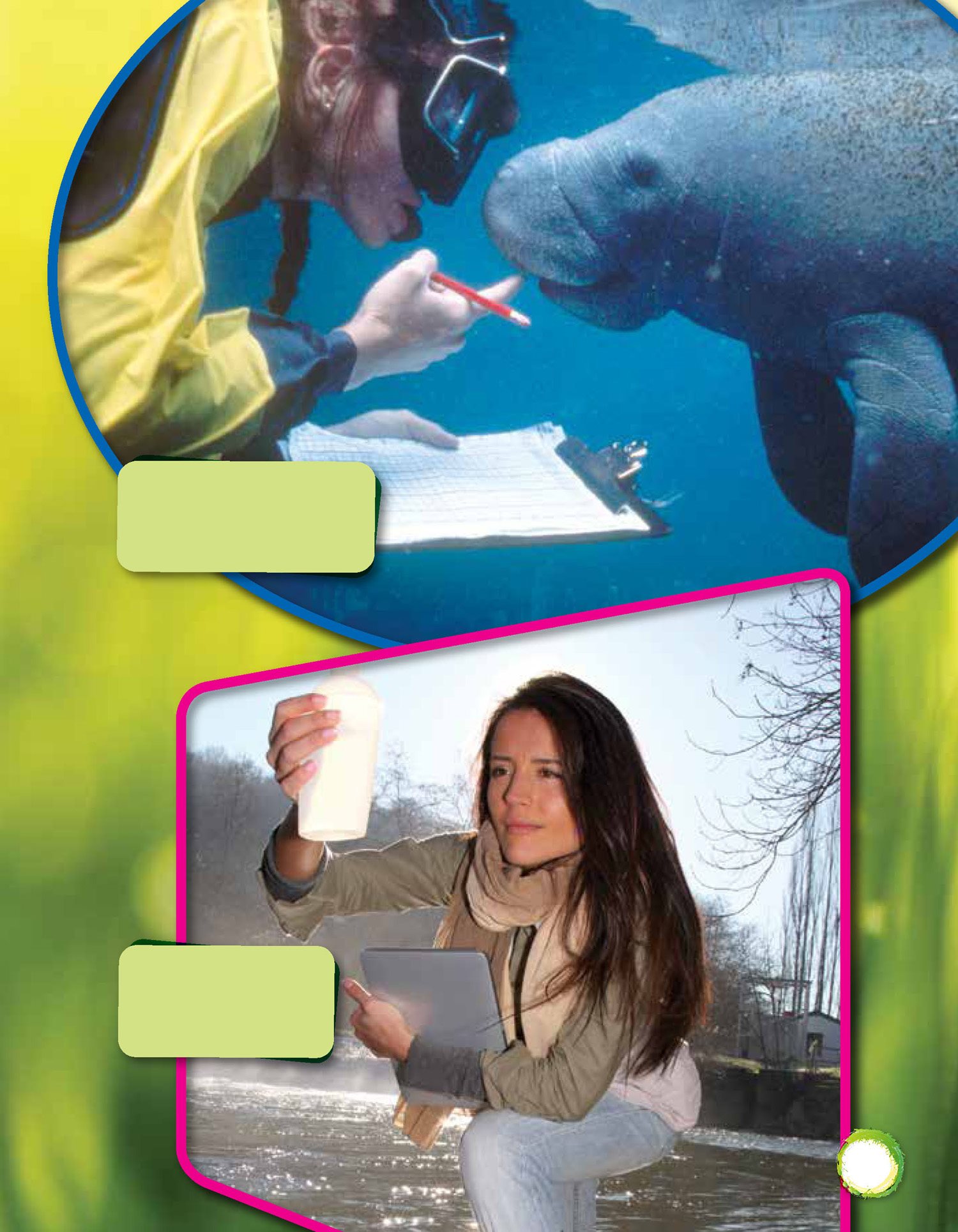 This scientist studies a manatee to learn more about the ocean This scientist - photo 10